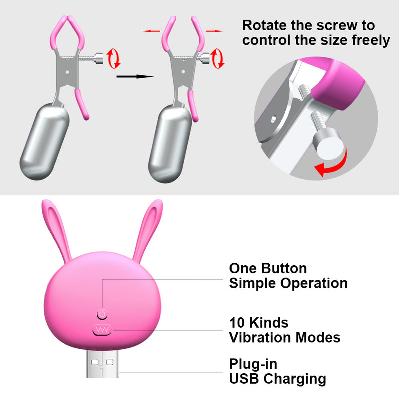 Nipple Clamps with Egg Vibrator Vibrating Breast Clips Sex Toys for Women