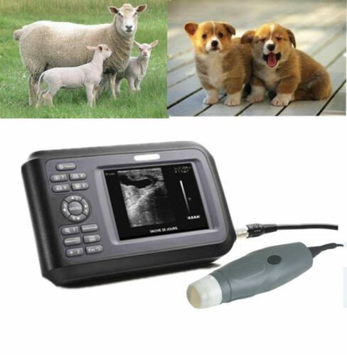 Soniker Ultrasound apparatus for veterinary use Portable Ultrasound Scanner: Handheld, WristScan, Sector Probe for Pregnancy Check on Farm Animals - Digital Imaging at Your Fingertips