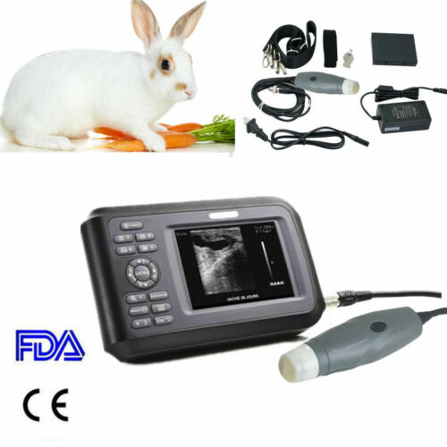 Soniker Ultrasound apparatus for veterinary use Portable Ultrasound Scanner: Handheld, WristScan, Sector Probe for Pregnancy Check on Farm Animals - Digital Imaging at Your Fingertips