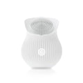 Brush Vibrator 10 Patterns Vaginal Clitoris Stimulator Sex Toys for Women